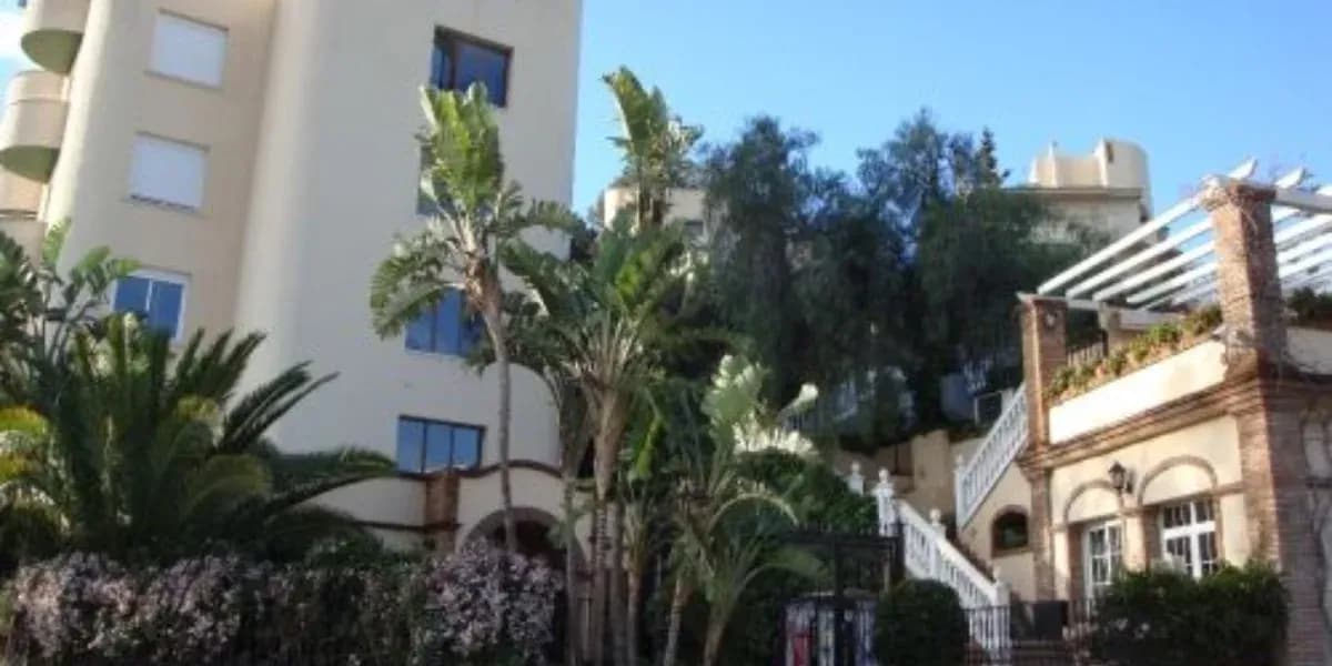 Malaca Instituto, Malaga - Dopělí