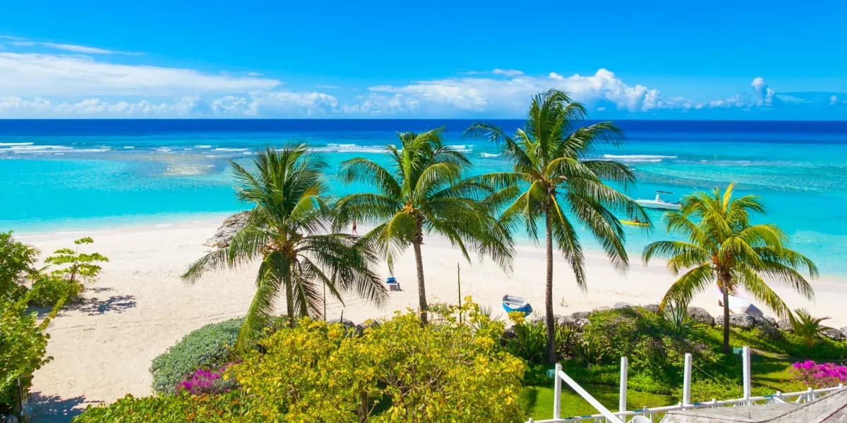 Pláž s palmami a tyrkysovým mořem. Pláž Worthing na Barbadosu.