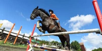 Exsportise - student na koni