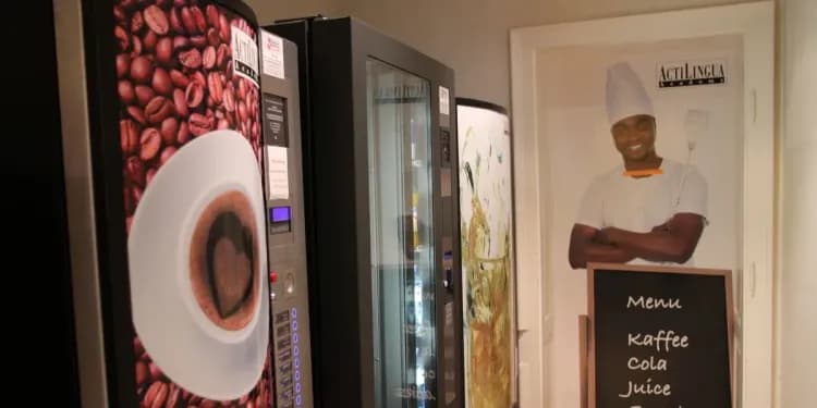 ActiLingua, Vídeň - Dospělí