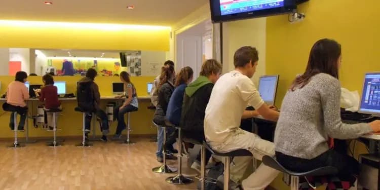 ActiLingua, Vídeň - Dospělí