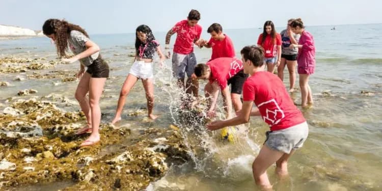 Alpadia / Kaplan, Brighton