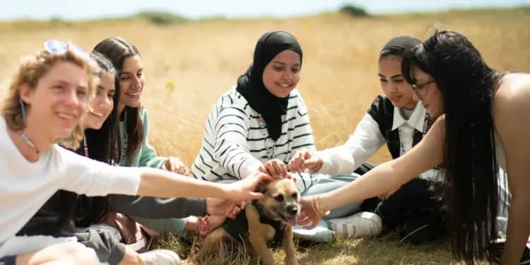 Bayswater Bournemouth