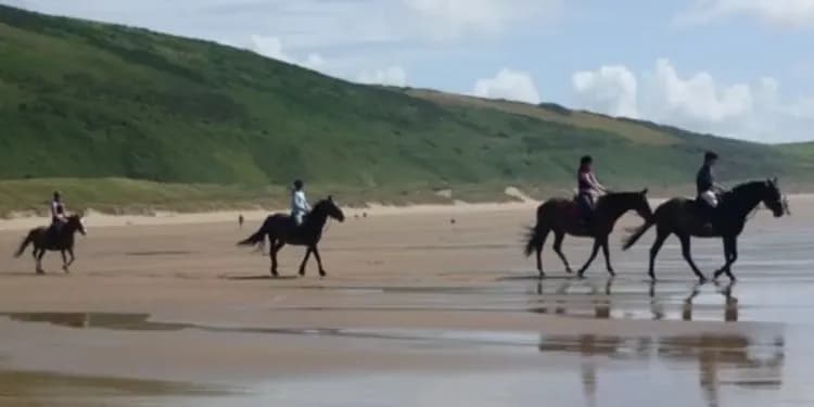 Channel School of English, Ilfracombe