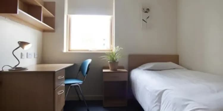 Emerald Cultural Institute Dublin