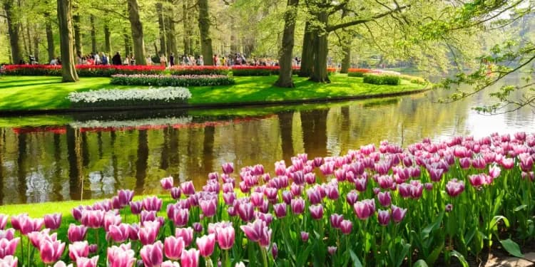 Keukenhof