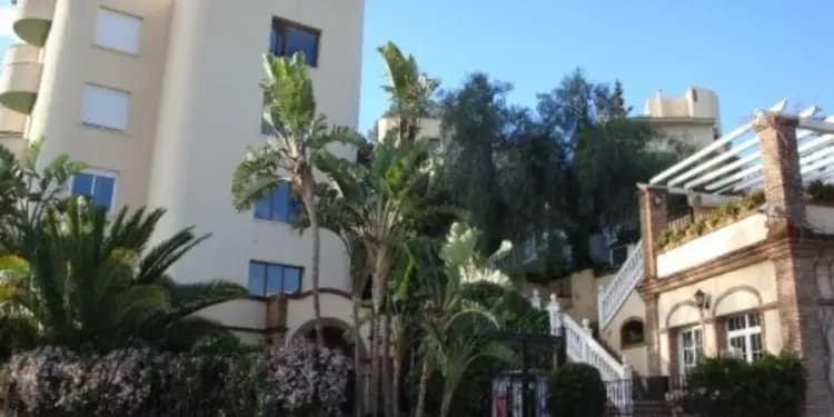 Malaca Instituto, Malaga - Dopělí