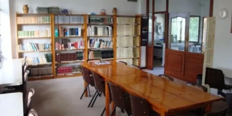 Malaca Instituto, Malaga - Dopělí