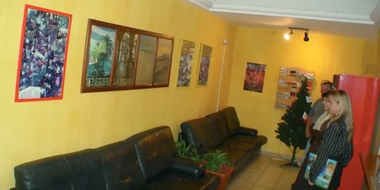 Enforex, Tenerife - Dospělí