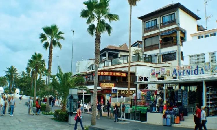 Enforex, Tenerife - Dospělí