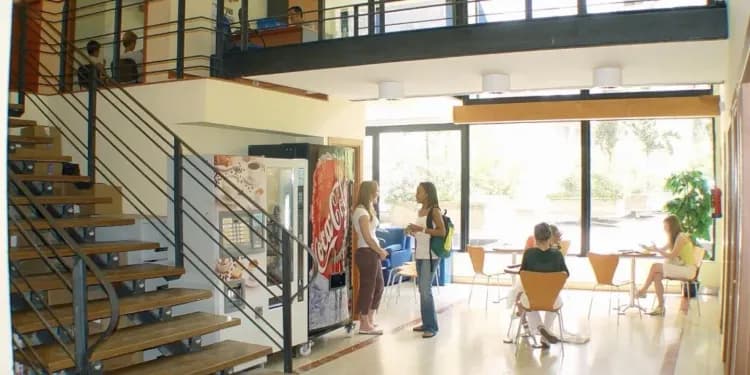 Enforex, Madrid - Dopělí