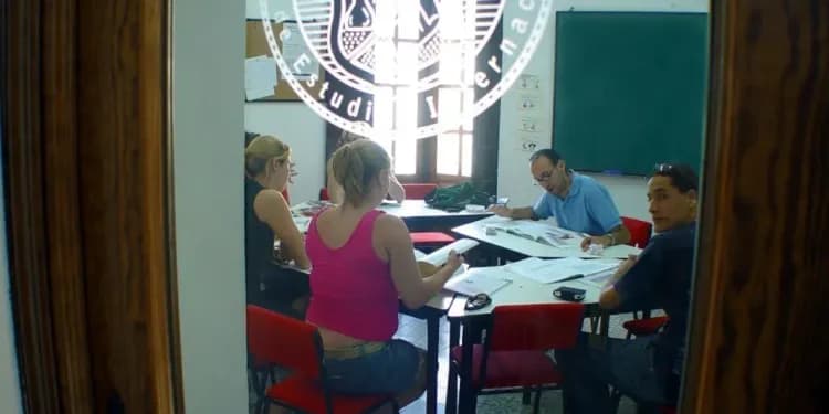 Enforex, Sevilla - Dospělí