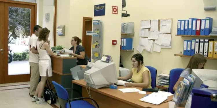 Enforex, Valencie - Dospělí