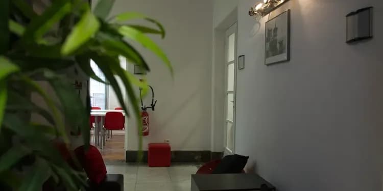 France Langue, Nice - hala 