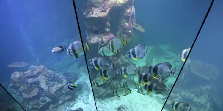 Akvárium v Haus des Meeres ve Vídni