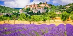 Provence