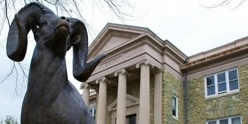 ZUMA Education, New York - knihovna